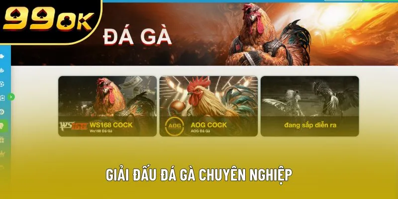 Giải đấu đá gà chuyên nghiệp Giải đấu đá gà chuyên nghiệp