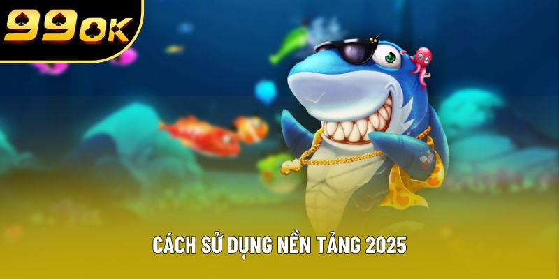 Cách sử dụng nền tảng 2025 Cách sử dụng nền tảng 2025